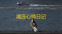 减压心情日记